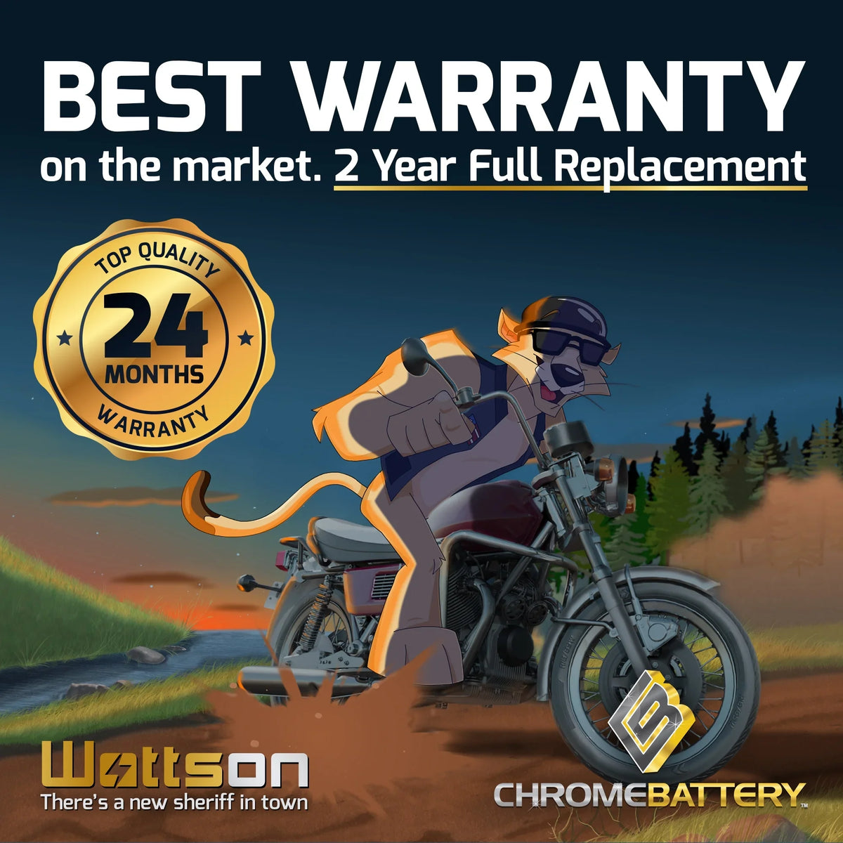 Chrome Battery Ytx20ch-bs (20ch-bs 12 Volts,18 Ah, 270 Cca) Motorcycle Battery for Kawasaki 1600cc Vn1600-b Vulcan Mean Sizetreak 2004
